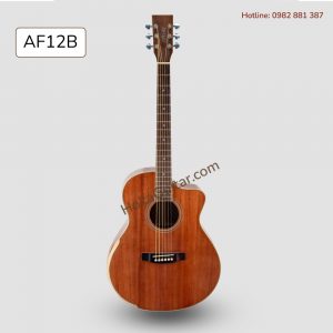 Mặt Trước Đàn Guitar Acoustic Gỗ Hồng Đào Già Full Thịt AF12B