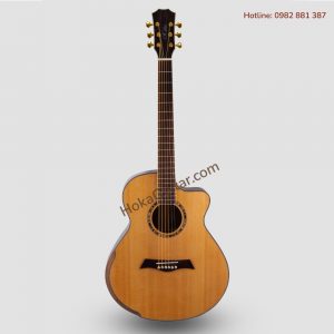 Mặt Trước Đàn Guitar Acoustic Gỗ Cẩm Lai Ấn Độ A91B
