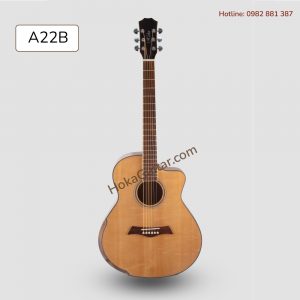 Mặt Trước Đàn Guitar Acoustic Gỗ Điệp Cần Gỗ Còng A22B